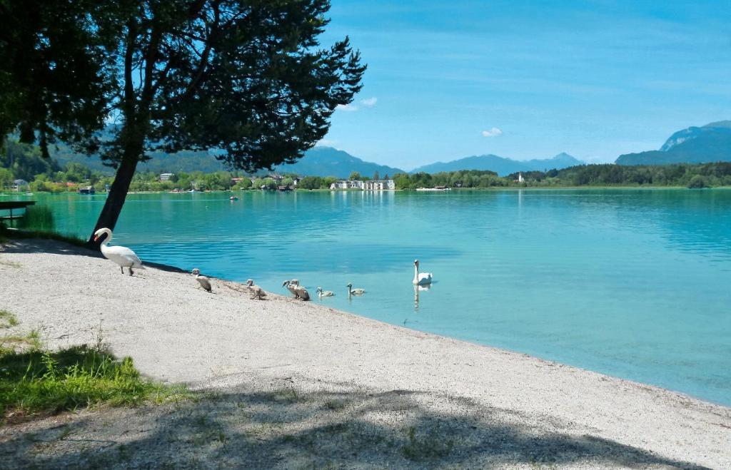 Pension Stissen Haus Am See 팍암시 외부 사진